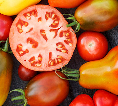 media/image/tomaten.jpg