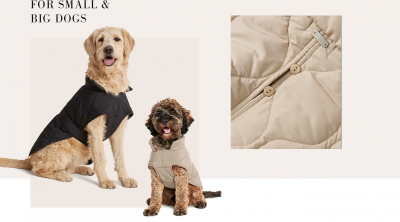 Accesories for Dogs